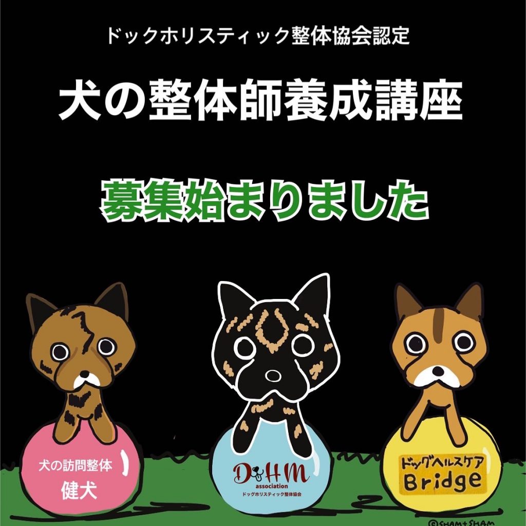 犬の整体師養成講座募集のお知らせ