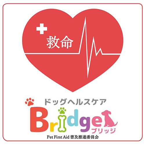 どんな活動をしているの?