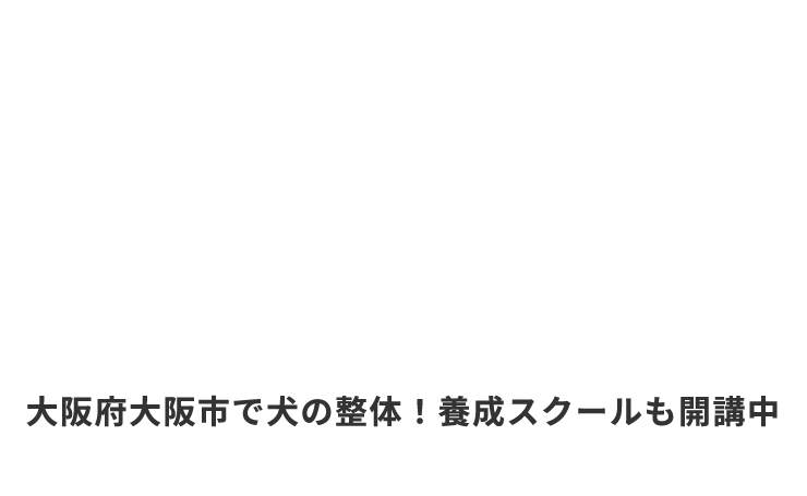 大阪府大阪市で犬の整体！養成スクールも開講中